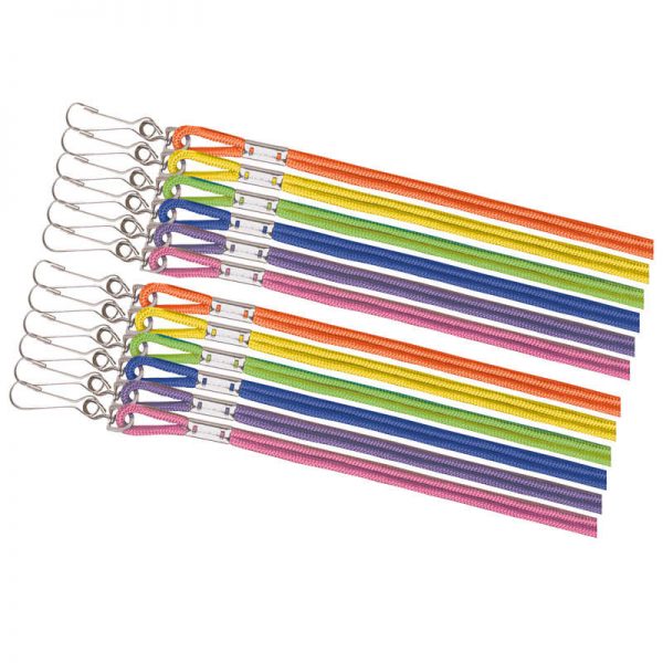 Champion Sports Lanyard,Heavy Duty nylon,6 Asst neon colors