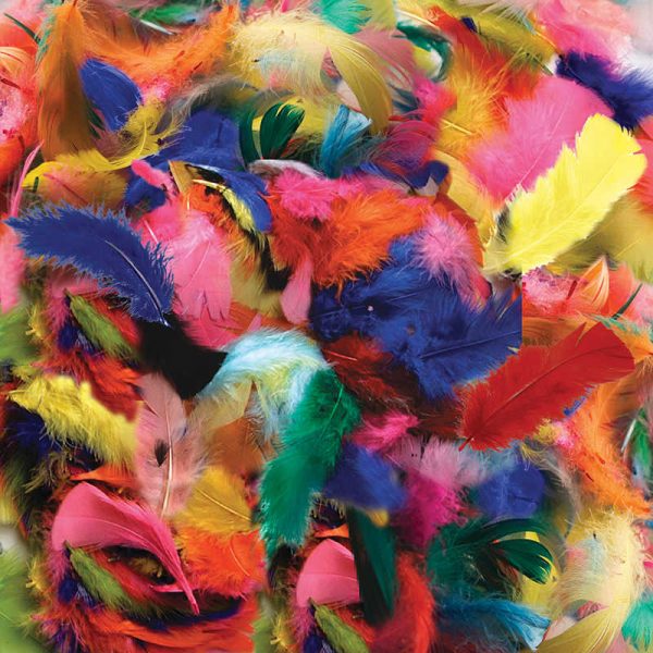 Creativity Street® Turkey Plumage Feathers, Hot Colors Assorted, Assorted Sizes, 14 grams