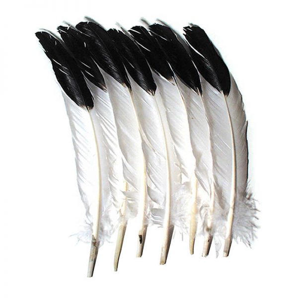 Creativity Street® Imitation Eagle Feathers, White & Black, 11" to 12", 12 Count