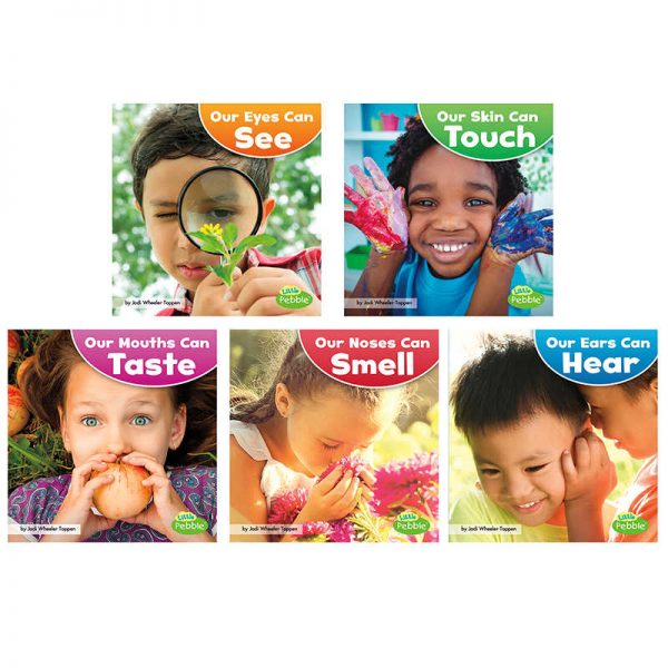 Little Pebble Our Amazing Senses, Set of 5 books