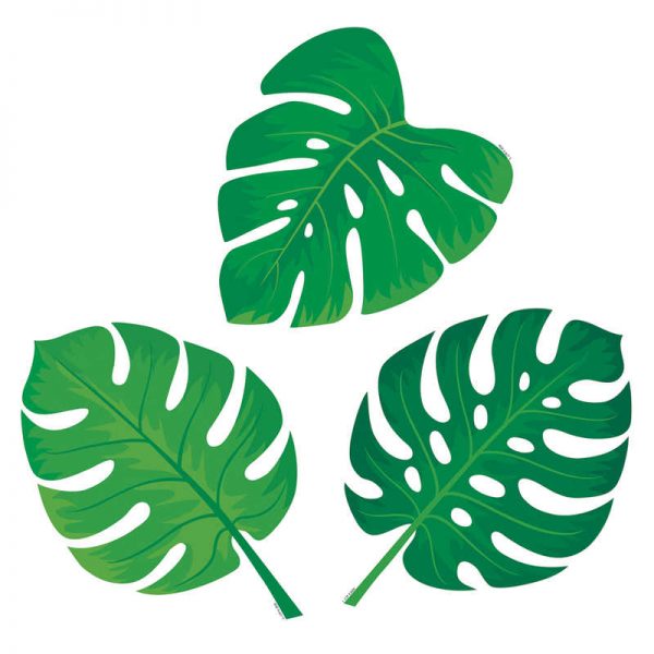 Creative Teaching Press® Palm Paradise Monstera Leaves 6" Designer Cut-Outs, Pack of 36