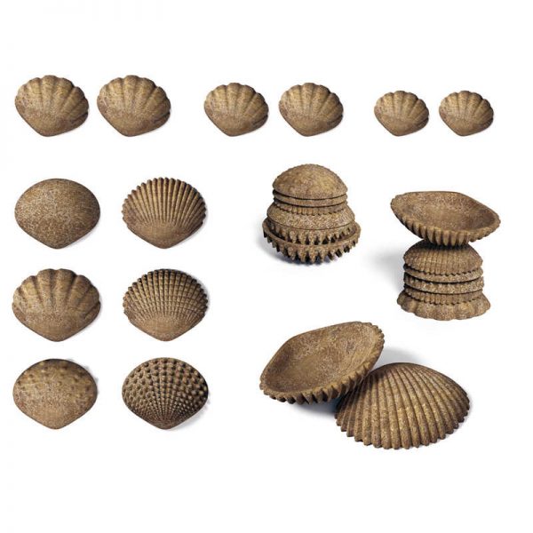 Edx Education® Tactile Shells, Set of 36
