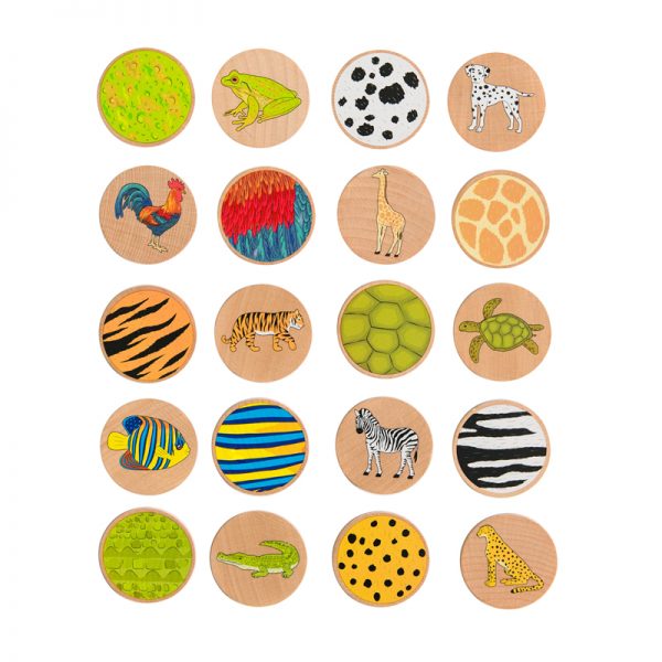 The Freckled Frog Matching Pairs - Who Am I? - Set of 20