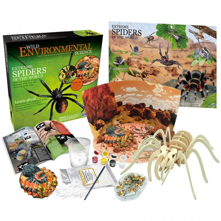 TeachersParadise - WILD! Science Extreme Science Kit, Spiders of the ...
