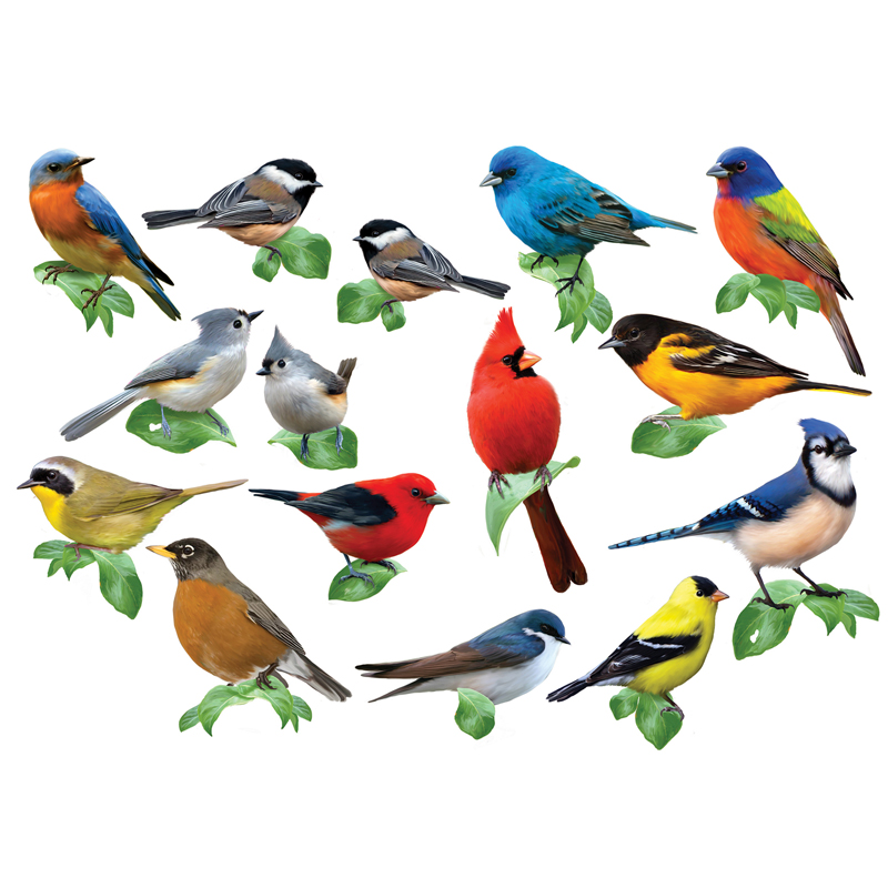 Cra-Z-Art® Songbirds I Multi Shaped Puzzles