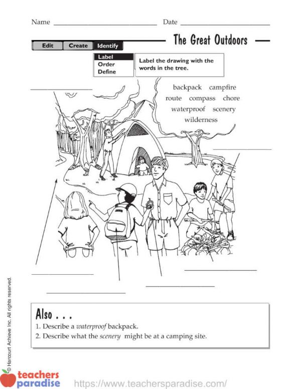 Camping is Fun! by Harcourt Achieve Inc - TeachersParadise