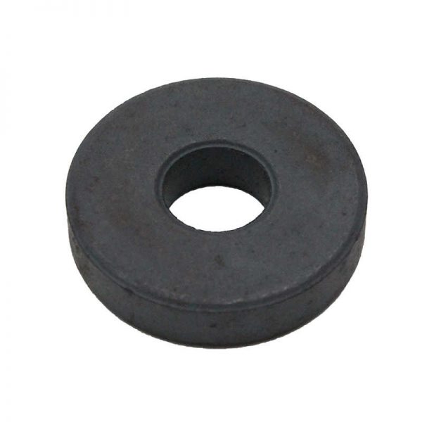 Dowling Magnets® Ring Magnets (100 pcs)