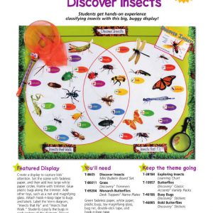 Discover Insects Mini Bulletin Boards by TREND enterprises