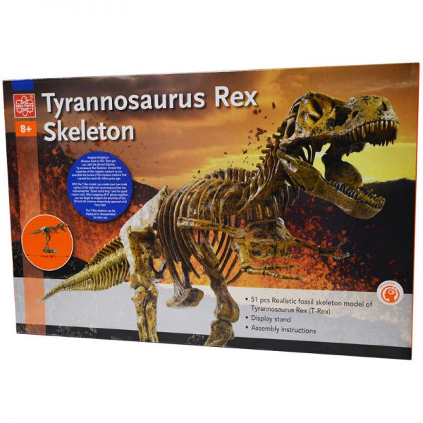 Edu-Toys T-Rex Skeleton
