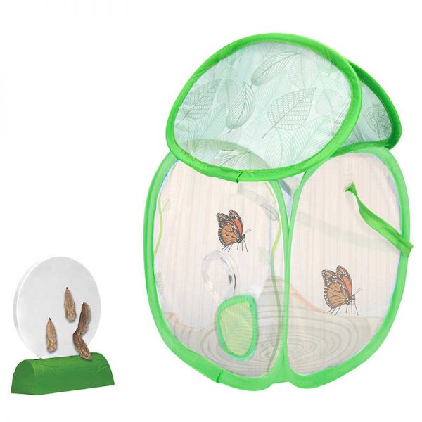 Educational Insights Geosafari® Jr. Butterfly Bungalow