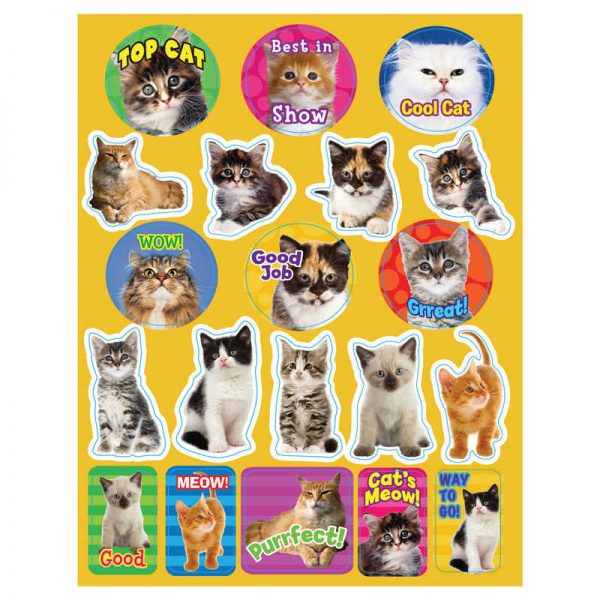 Eureka® Motivational Cats