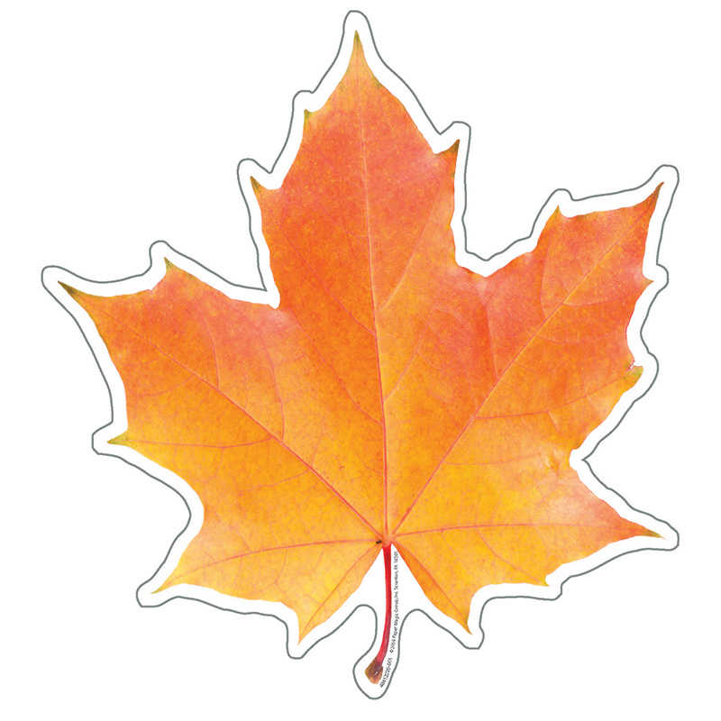Eureka® Photo Leaf Paper Cut Outs
