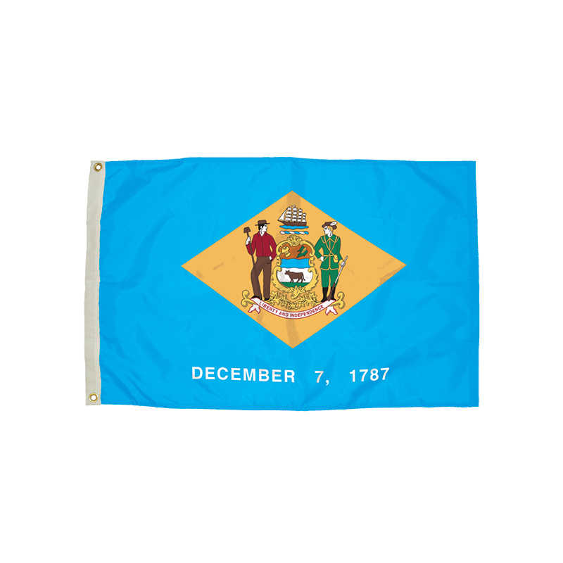 FlagZone Durawavez Nylon Outdoor Flag with Heading & Grommets, Delaware, 3ft x 5ft