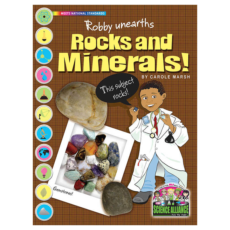TeachersParadise Gallopade Science Alliance™ Earth Science, Rocks & Minerals GALSAPROC