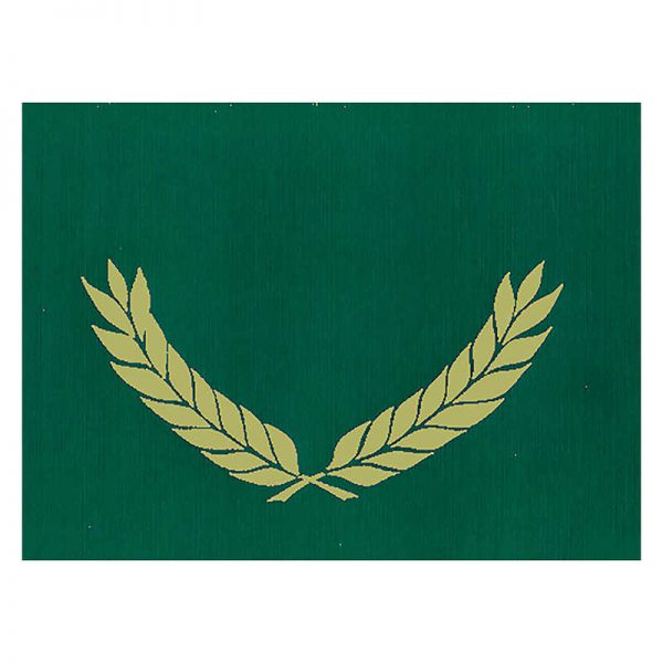 Hayes Gold Foil Stamped Green Certificate Folders, 10" x 13", Pack of 30