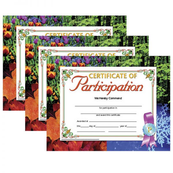 Hayes Certificate of Participation, 8.5" x 11", 30 Per Pack, 3 Packs