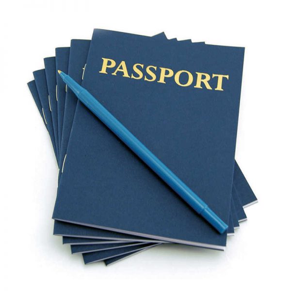 Hygloss® My Passport Books, 12 Per Pack