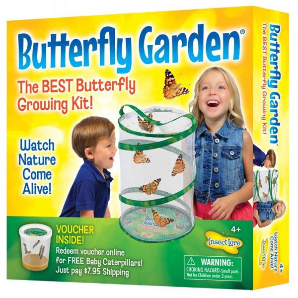 Insect Lore Butterfly Garden® Growing Kit