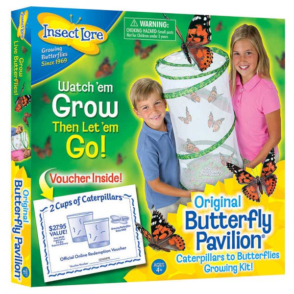 Insect Lore Butterfly Pavilion® Growing Kit
