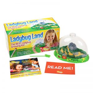 Insect Lore Ladybug Land™ Growing Kit