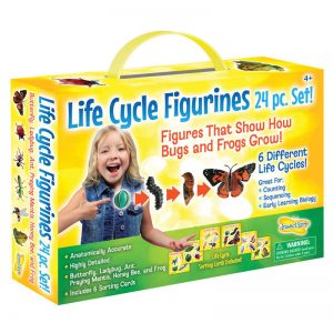 Insect Lore Life Cycle Figurines Set, 24 Pieces