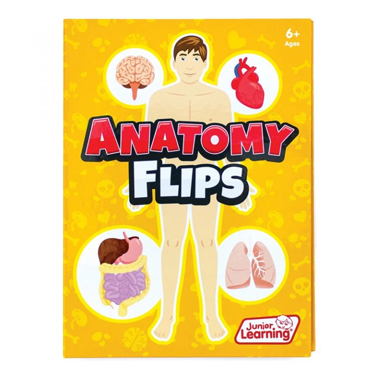 Junior Learning® Anatomy Flips