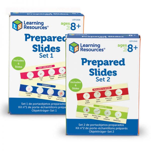 Learning Resources Prepared Slides, Set of 12