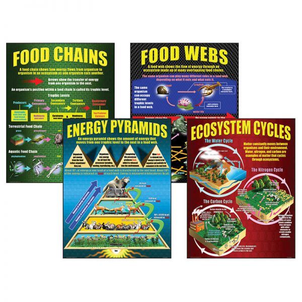 McDonald Publishing Ecosystems Teaching Posters, Set of 4