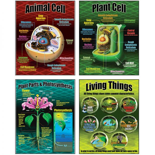 McDonald Publishing Life Science Teaching Posters, Set of 4