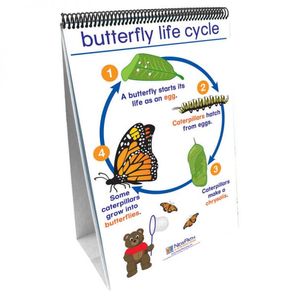 NewPath Learning Early Childhood Science Readiness Flip Charts, All About Animals