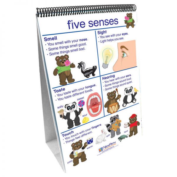 NewPath Learning Early Childhood Science Readiness Flip Charts, All About Me