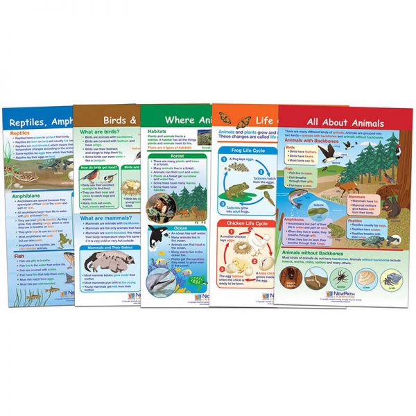 NewPath Learning All About Animals Bulletin Board Charts, Set of 5