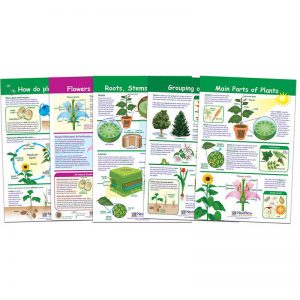 NewPath Learning All About Plants Bulletin Board Charts, Set of 5
