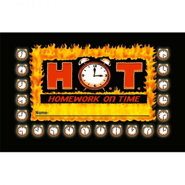 North Star Teacher Resources H.O.T. - Homework on Time Punch Cards, Pack of 36