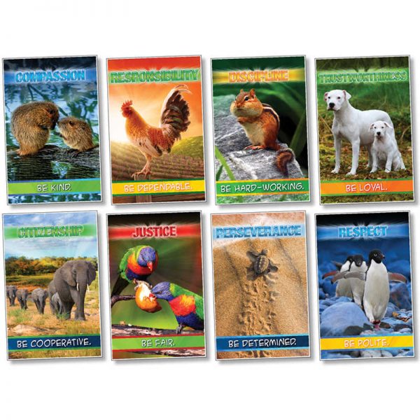 North Star Teacher Resources Growing in Character Bulletin Board Set
