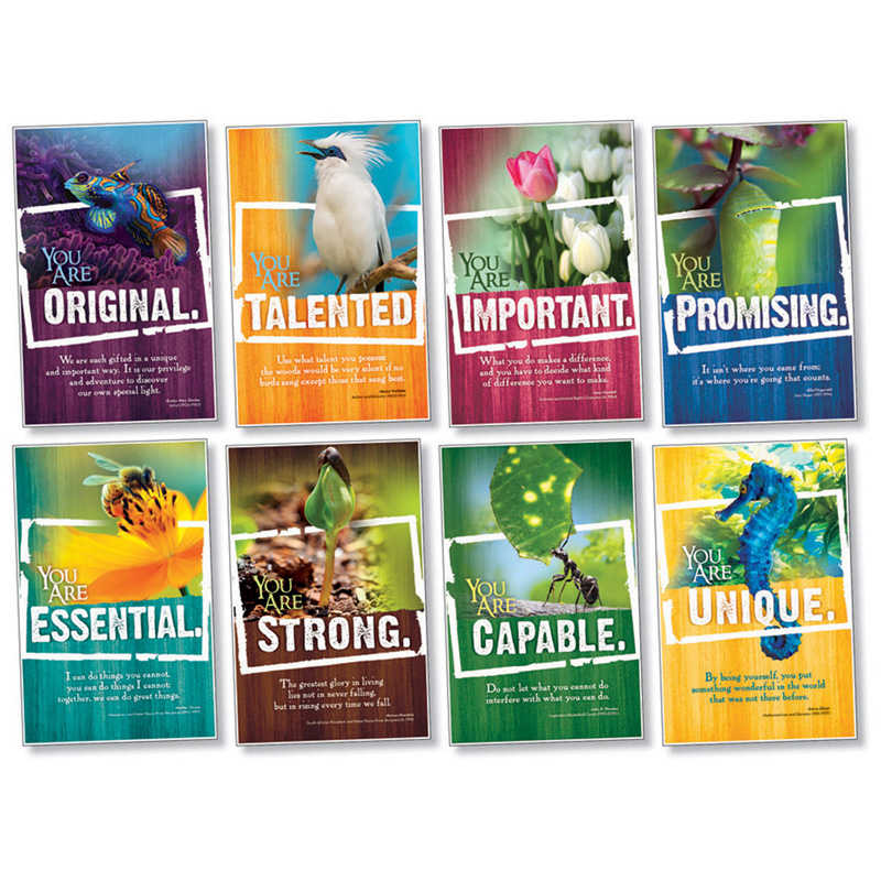 North Star Teacher Resources Encouragement Bulletin Board Set