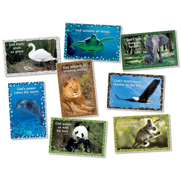 North Star Teacher Resources God, Our Creator Poster Set