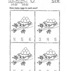 Number 6 – Numbers Skill Builders for Ages 3-6 by Rainbow Bridge Publishing CD-RBP3268