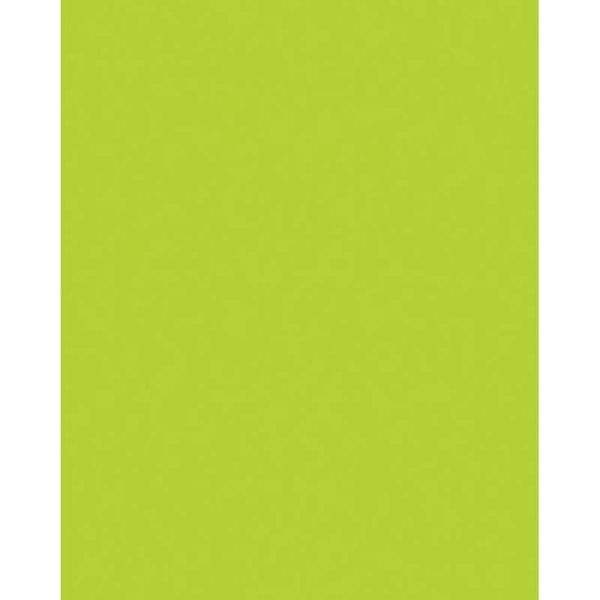 UCreate® Neon Coated Poster Board, Neon Lime, 22" x 28", 25 Sheets