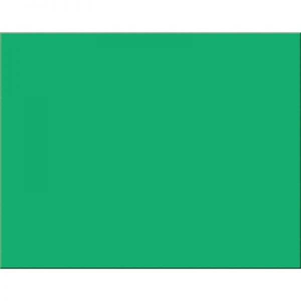 Pacon® 4-Ply Railroad Board, Holiday Green, 22" x 28", 25 Sheets