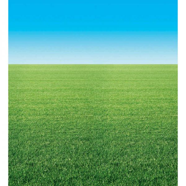 Fadeless® Bulletin Board Art Paper, Summer Horizon, 48" x 50', 1 Roll