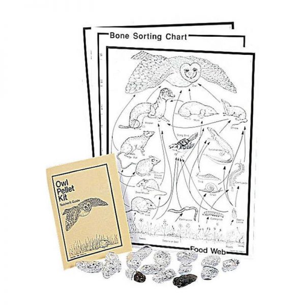 Pellets Inc. Owl Traditional Pellet Classroom Kit