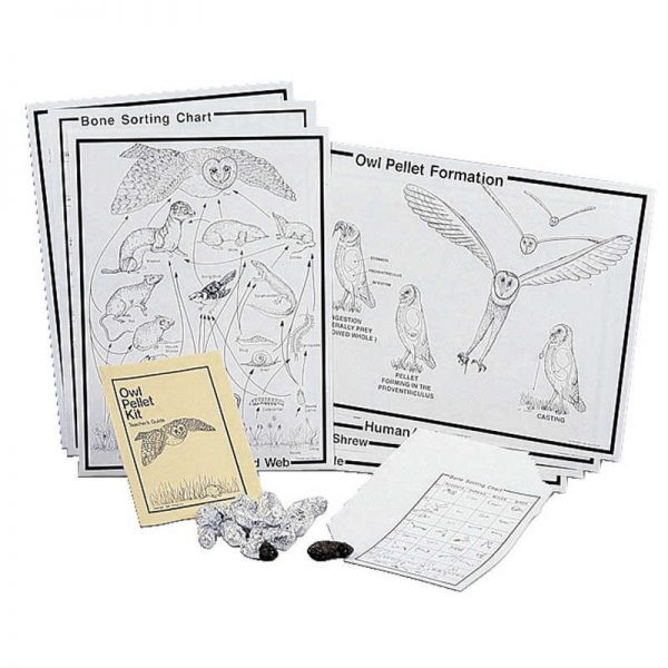Pellets Inc. Student Owl Pellet Deluxe Classroom Kit