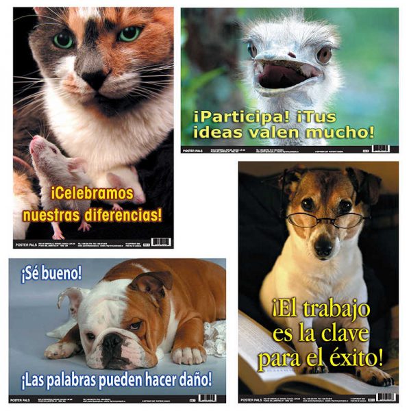 Poster Pals® Spanish Fun Photo Posters, Set #10