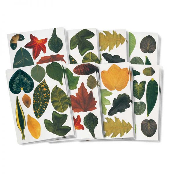 Roylco® Paper Leaves, Pack of 266