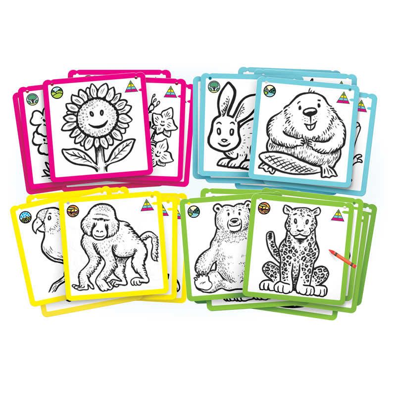 Roylco® Who Eats Who?Food Chains