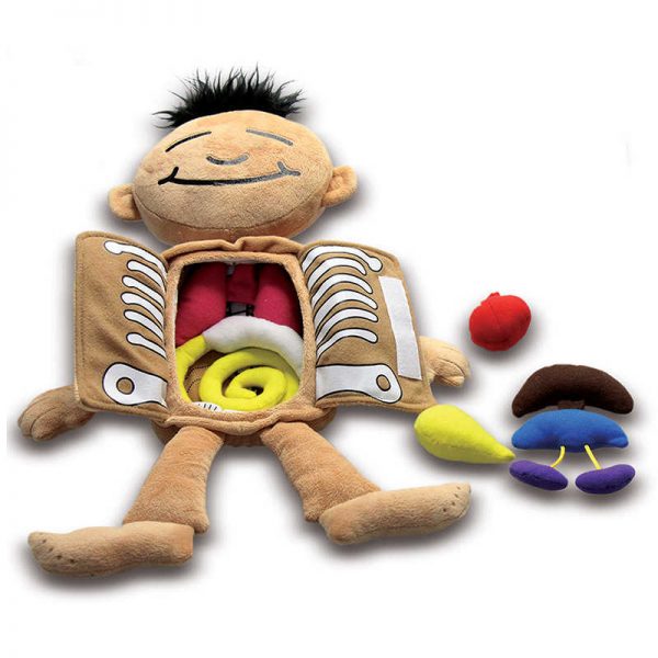 Roylco® What's Inside Me Doll
