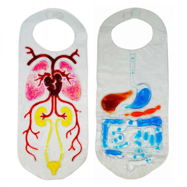 Roylco® Investigate Organs Vests, Pack of 2