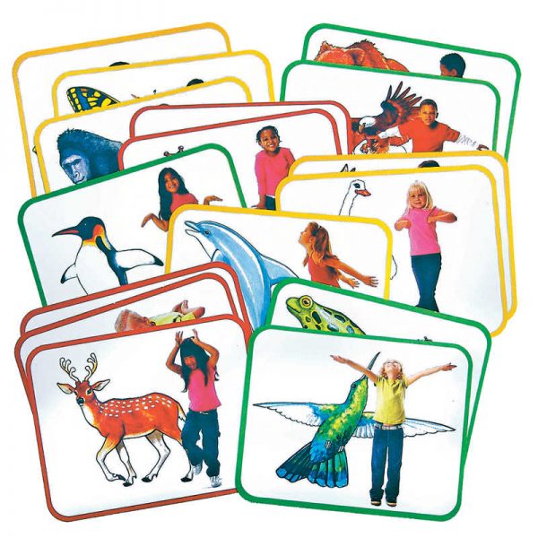 Roylco® Roylco Body Poetry: Animal Action Cards, 16/pkg