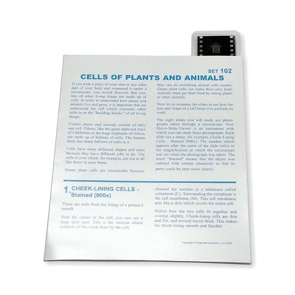 Supertek Microslide, Cells Of Plants and Animals, 35mm